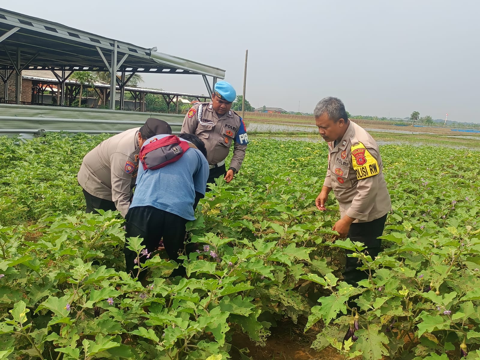 WhatsApp Image 2025-06-25 at 09.54.02