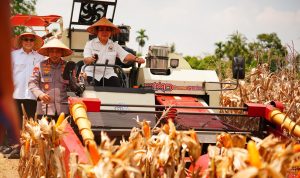 IMG-20250928-WA0006(1)