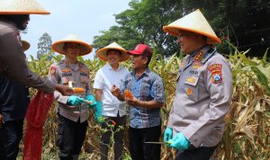 d39c4fd0-9fb6-4a8d-8232-56fb51799cf8