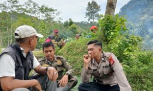 31293bd2-9681-462d-a386-1e73308f450e