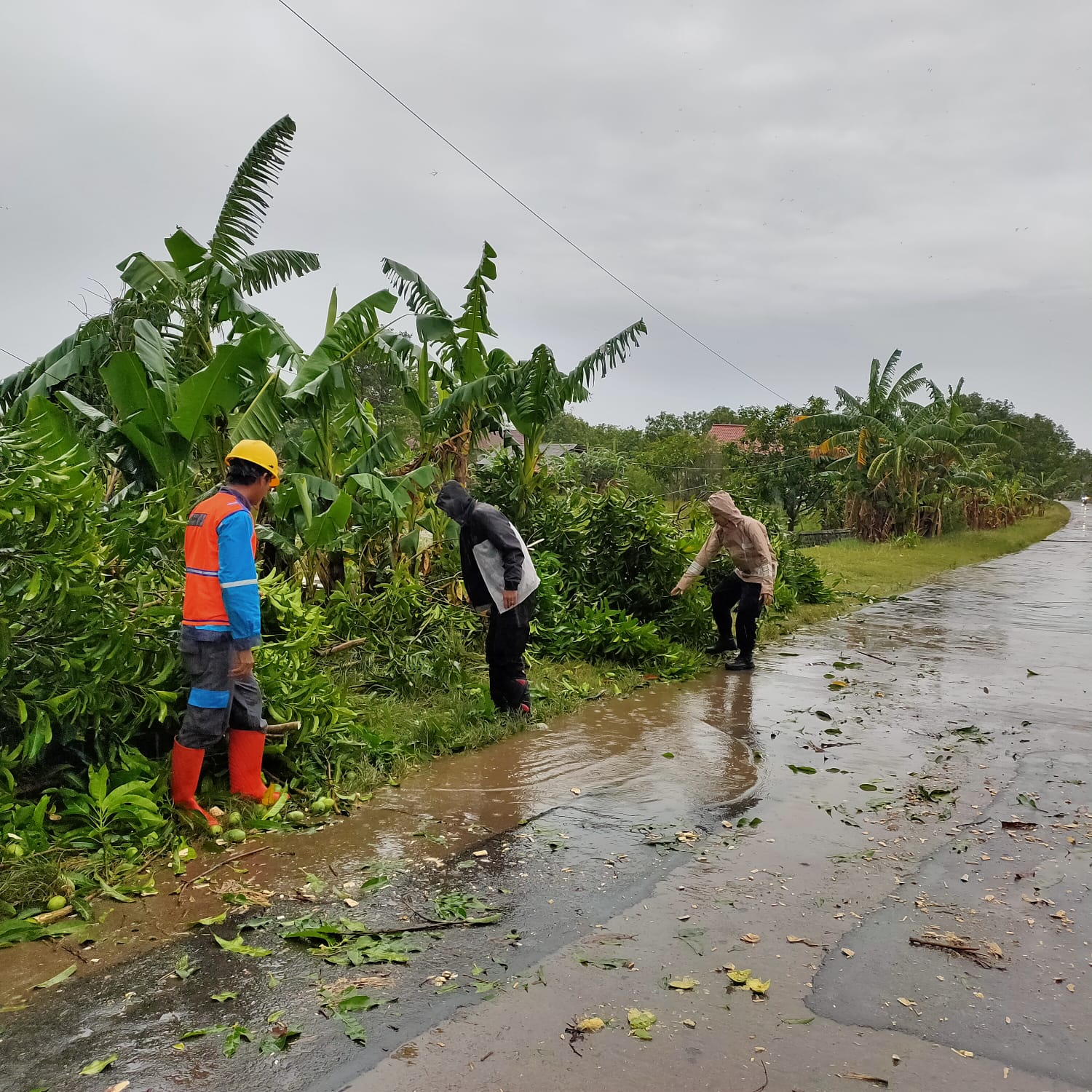 WhatsApp Image 2025-10-25 at 10.00.17