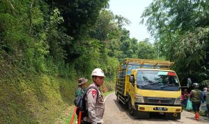 WhatsApp Image 2025-11-06 at 18.01.14