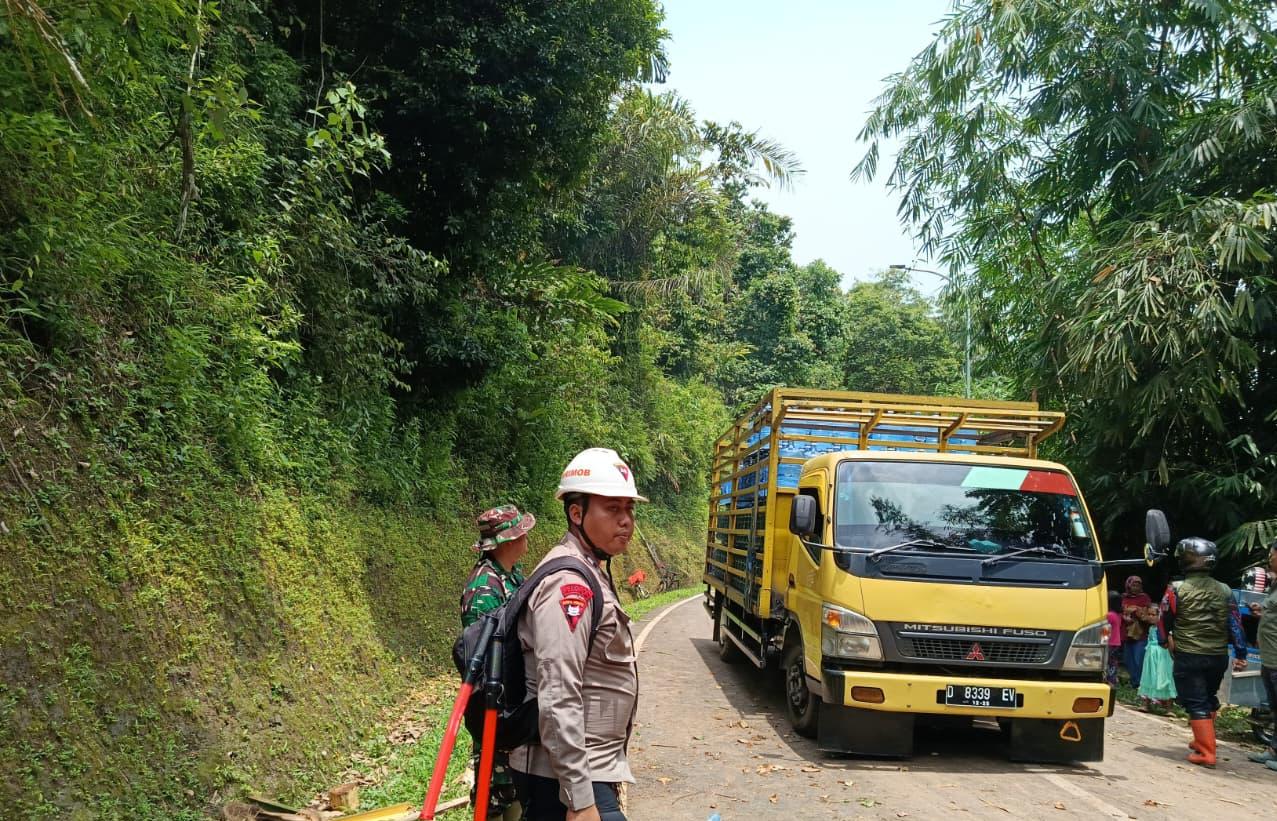 WhatsApp Image 2025-11-06 at 18.01.14