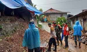 31af9395-2fcf-4130-a230-19d5f7afdd68