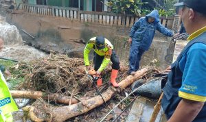 4629a6c3-76b9-4576-afd8-0aa0cb09af30