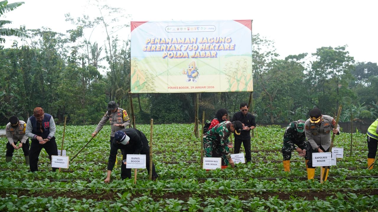 7769d4d3-2d7c-4861-8ff7-d9e540354ec3