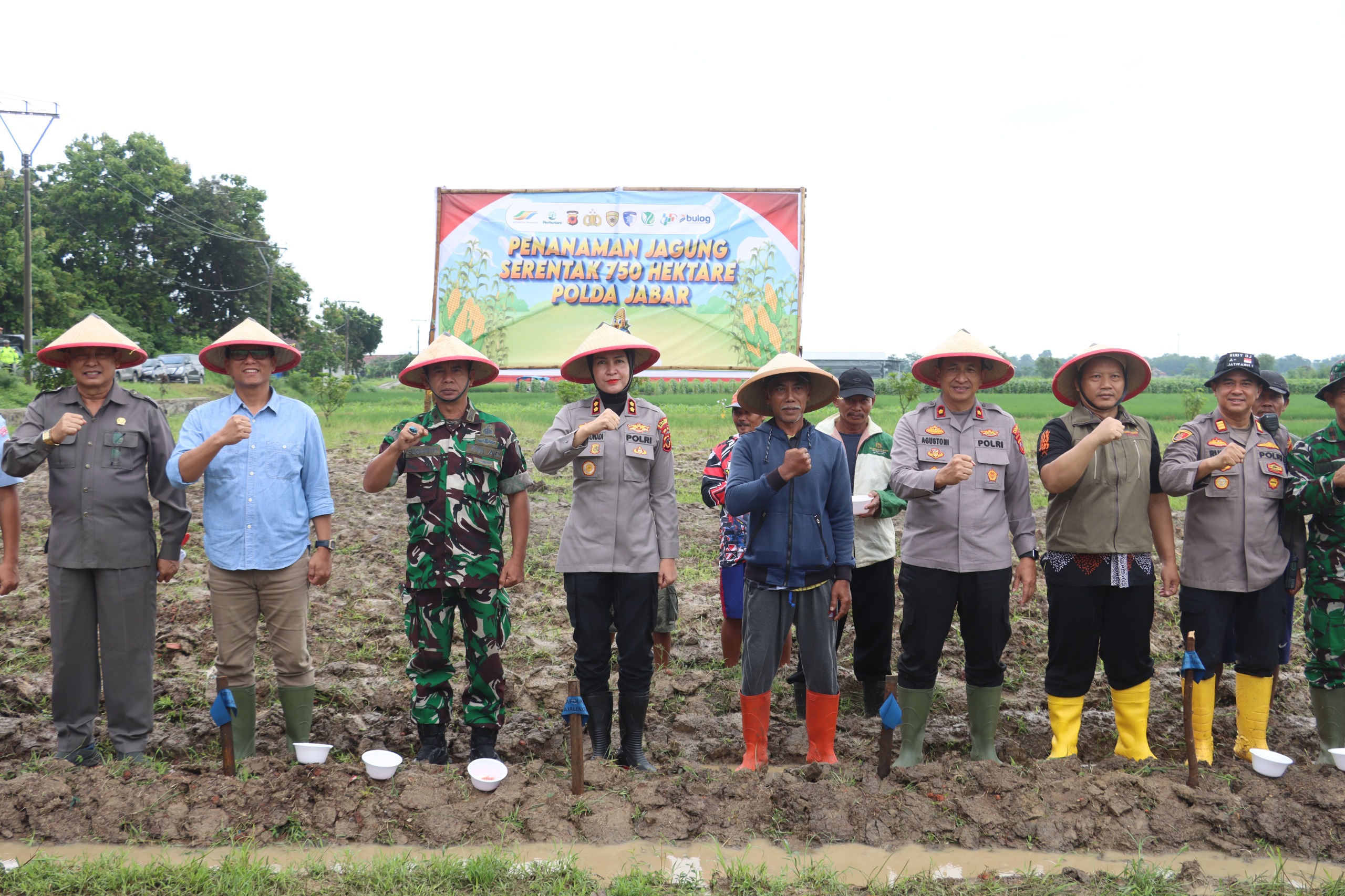 WhatsApp Image 2026-01-29 at 12.49.22