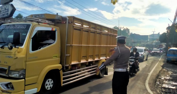 528b9807-1a1e-4c32-9007-b2d36bd40308