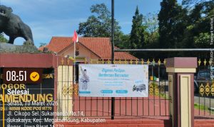 9ee0f485-e8df-4b40-affe-a35afad15f2c